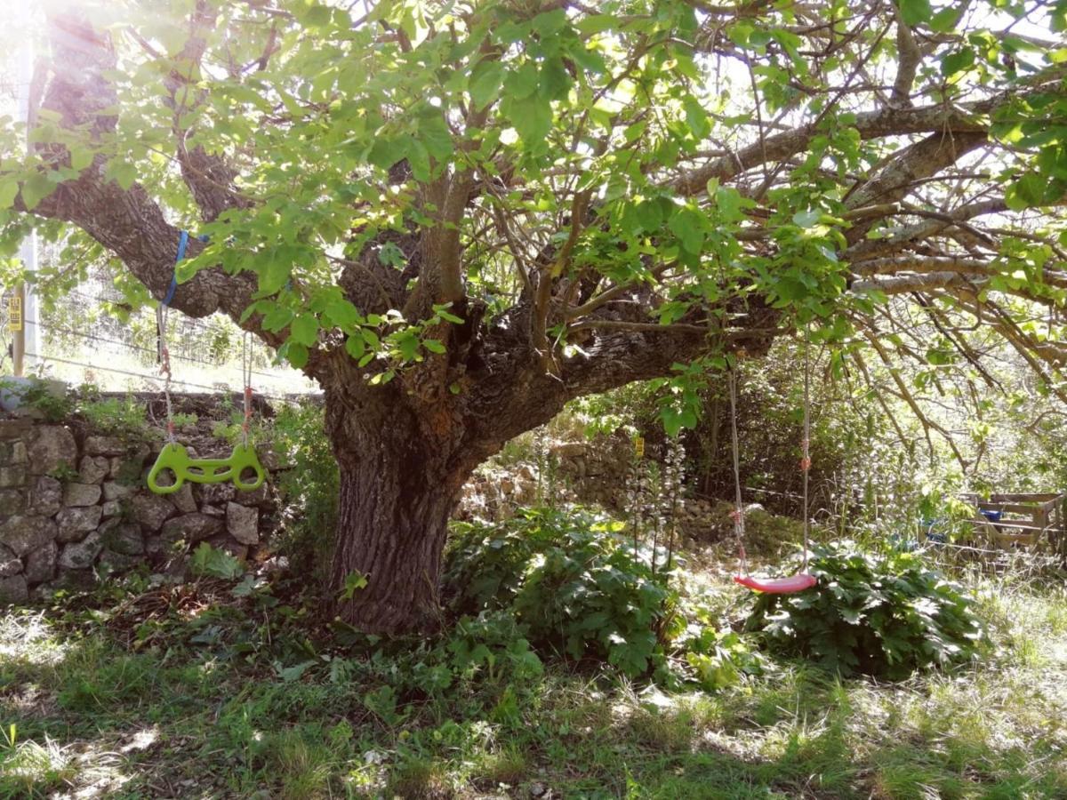 Bastide Provencale Les Muriers D'Engaspaty 셀랑 외부 사진